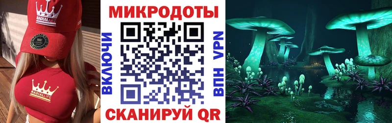 Галлюциногенные грибы Psilocybe  Купить закладки  Заволжье 
